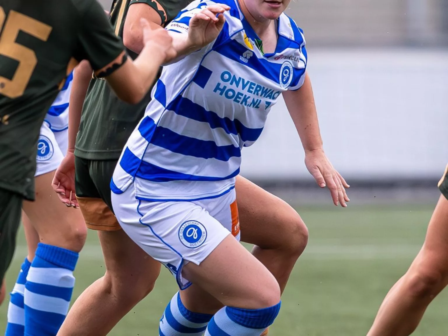 D28c44b0 07e7 42f6 b56f 45793522f9cb